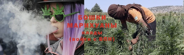 дмт Вяземский