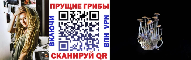 Галлюциногенные грибы мухоморы Купить Искитим