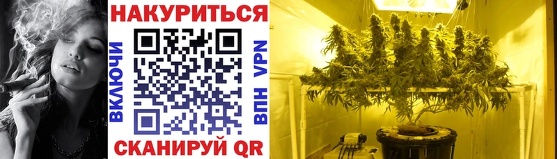 Купить  Искитим  Бошки Шишки Bruce Banner 